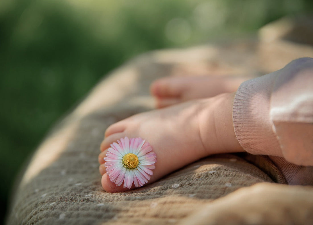 Bienvenue dans My Baby Cocoon